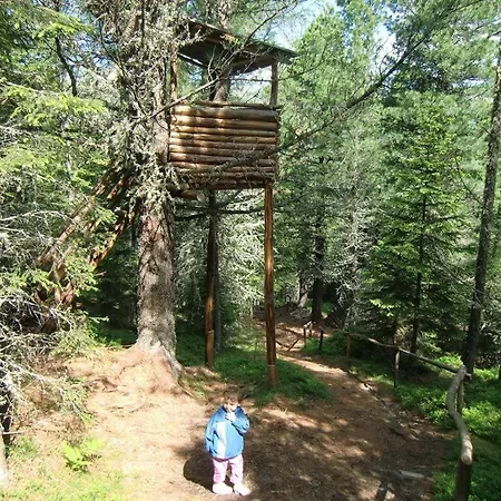 Stoichart Hochrindl