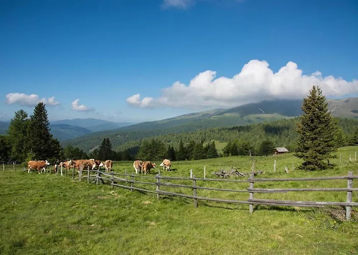 Stoichart 3* Хохриндль